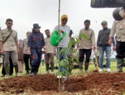 Atalia Kamil Tanam 1000 Pohon Bersama Ibu Negara Iriana Joko Widodo dan Ibu Wury Ma’aruf Amin