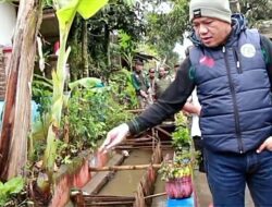 Inspiratif! Budidayakan Ikan Warga Tanggulun Ibun Manfaatkan Selokan