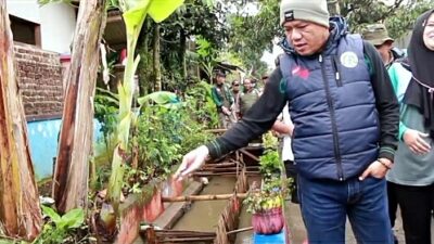 Inspiratif! Budidayakan Ikan Warga Tanggulun Ibun Manfaatkan Selokan