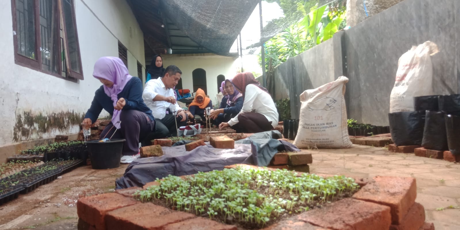 program GOLP Desa Cijati