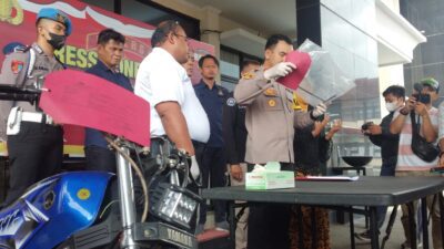 Motor RX King
