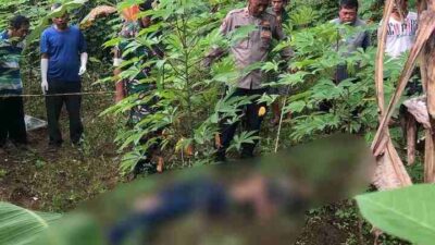 Mayat Pria Tanpa Identitas Ditemukan di Kebun Singkong Milik Warga Ujungjaya Sumedang