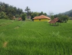 Sawah di Sumedang ini Miliki Pantangan Atau Larangan Dibangun Perumahan