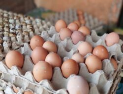 Kecuali Telur, Harga Sembako di Pasar Kota Sumedang Masih Stabil Jelang Ramadan