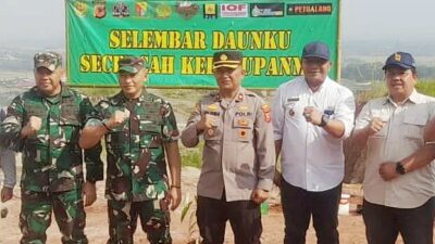Rehabilitasi lahan kritis