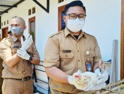 Virus Flu Burung Mulai Mengancam, Begini Langkah Antisipasi DKPP Bandung