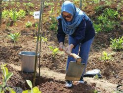 9 Jenis Pohon Langka Ditanam di Bandung, DLH Beberkan Manfaatnya