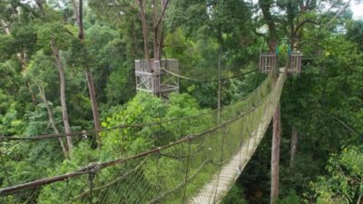 Hutan nasional Bukit Bangkirai