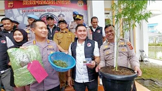 Tanam Pohon Ganja