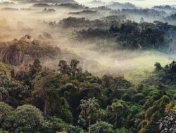 Bukit Batu Dinding Wisata Alam yang Ada di Kalimantan Timur, Memiliki Keindahan Luar Biasa