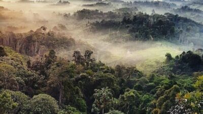 Bukit Batu Dinding Wisata Alam yang Ada di Kalimantan Timur, Memiliki Keindahan Luar Biasa