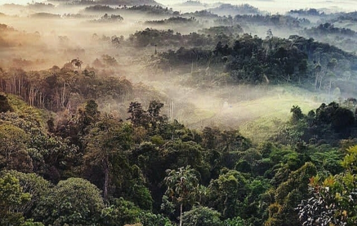 Bukit Batu Dinding