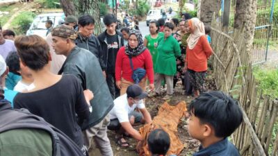 Diduga Punya Penyakit, Pria Paruh Baya di Sumedang Tabrak Pohon di Jalan Simpang Hingga Tewas