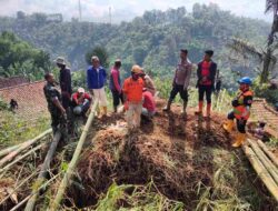 Longsor Rumpun Bambu Timpa 4 Rumah di Sukasari Sumedang, Tim Gabungan Gotong Royong Menangani
