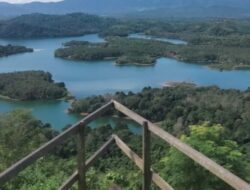 Keindahan Alam Asri dan Instagramable di Bukit Batas, Destinasi Wisata Favorit di Kalimantan Selatan