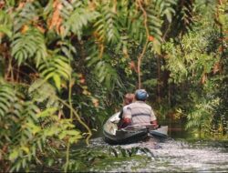 Taman Nasional Sebangau: Wisata Alam Terbesar di Kalimantan Tengah