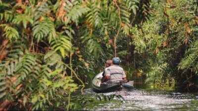 Taman Nasional Sebangau