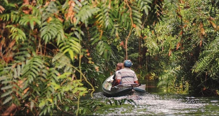 Taman Nasional Sebangau