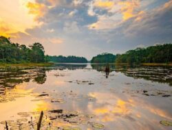 Menikmati Keindahan Alam dan Kegiatan Seru di Waduk Manggar, Destinasi Wisata Terbaik di Balikpapan