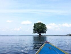 Explore Keindahan Taman Nasional Danau Sentarum di Kalimantan Barat