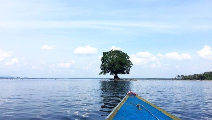 Danau Sentarum Kalimantan Barat