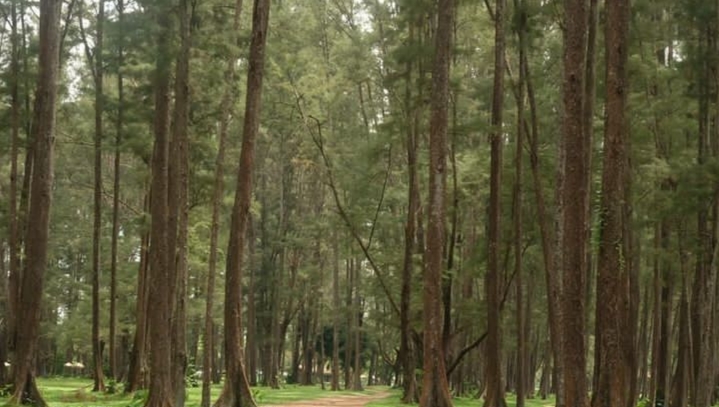 Pantai Tanah Merah