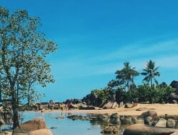 Pantai Temajuk: Destinasi Wisata Indah di Kabupaten Sambas, Kalimantan Barat