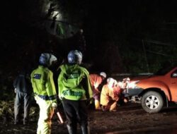 Pohon Tumbang Tutup Jalan Raya Bandung-Sumedang, Polisi dan BPBD Sumedang Lakukan Evakuasi