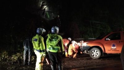 Pohon Tumbang Tutup Jalan Raya Bandung-Sumedang, Polisi dan BPBD Sumedang Lakukan Evakuasi
