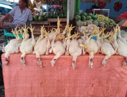 Sempat Naik Tajam, Harga Daging Ayam di Pasar Parakanmuncang Sumedang Kembali Normal