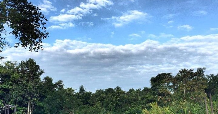 Selimau Park