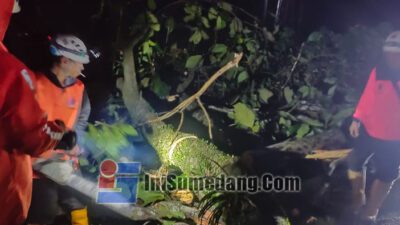 Pohon Tumbang di Cadas Pangeran