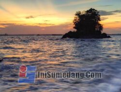 Menikmati Keindahan Bawah Laut dan Danau Ubur-Ubur Tanpa Sengat di Pulau Kakaban, Kalimantan Timur