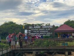 Pulau Kembang Menjadi Wisata Alam yang Banyak Memperlihatkan Monyet Kalimantan