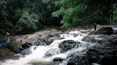 Arus Alam Sungai Kembang, Kalimantan Selatan