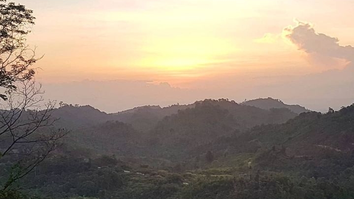 Taman Hutan Raya Bukit Soeharto