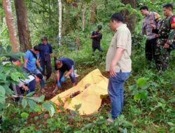 Pemburu di Sumedang Temukan Kerangka Manusia Tanpa Identitas di Hutan Cirandeg