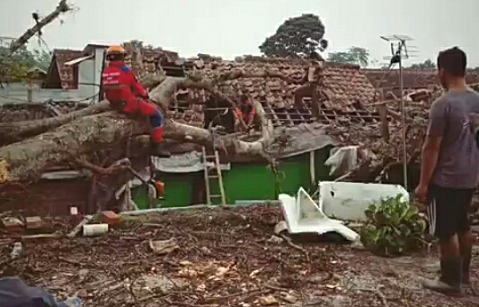Rumah rusak tertimpa pohon