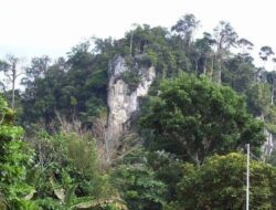 Menjelajahi Keindahan dan Pesona Gunung Putih di Kalimantan Utara