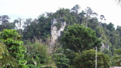 Wisata Gunung Putih