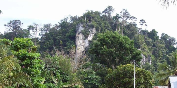 Wisata Gunung Putih