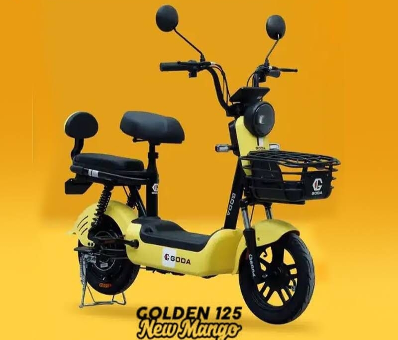 Sepeda Listrik Golden 125