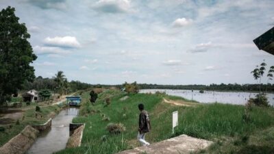 Taman Burung Kalimantan Barat: Wisata Menarik dengan Berbagai Atraksi Burung yang Mengagumkan