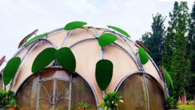 “Kebun Raya Bogor: Destinasi Wisata Tumbuhan Terbesar di Asia Tenggara dengan Sejarah Panjang”
