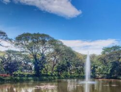 Explore Keindahan Alam dan Edukasi Tanaman di Kebun Bibit Wonorejo Surabaya