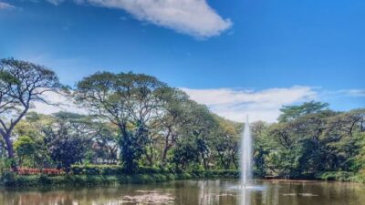 Kebun Bibit Wonorejo Surabaya