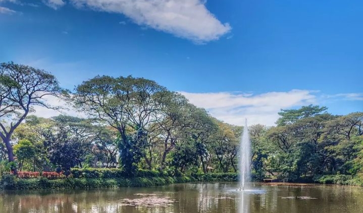 Kebun Bibit Wonorejo Surabaya