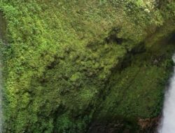 Explore Keindahan Air Terjun Curug Cinulang Sumedang di Jawa Barat