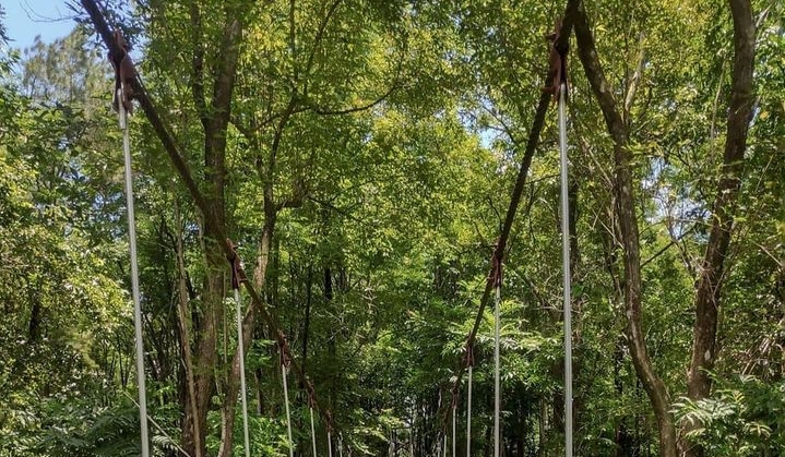 Pulau Pinus Aranio Kalimantan Selatan