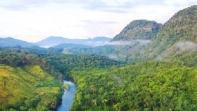 Taman Nasional di Kalimantan Barat